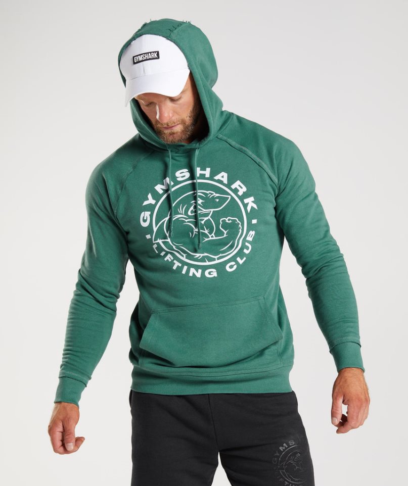 Bluzy Z Kapturem Gymshark Legacy Męskie Zielone | PL 935UKM